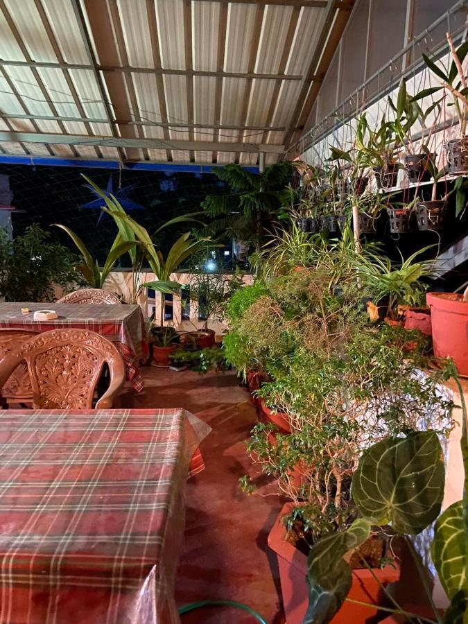 Gloria Homestay Kochi Екстер'єр фото